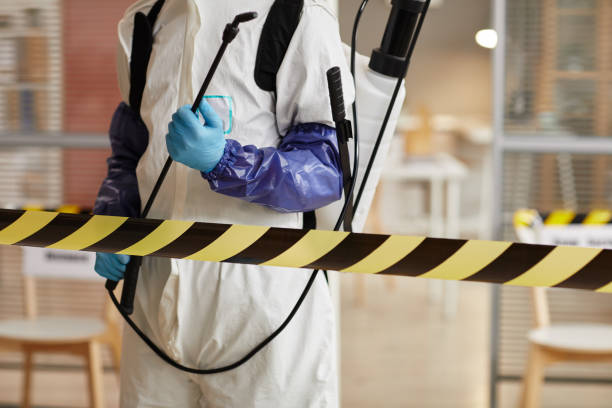 Professional Sewage Cleanup technician working in Anacortes, WA
